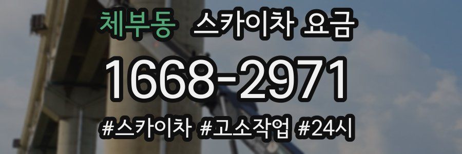 체부동 스카이차 요금