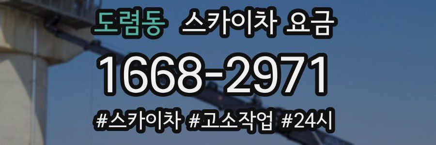 도렴동 스카이차 요금