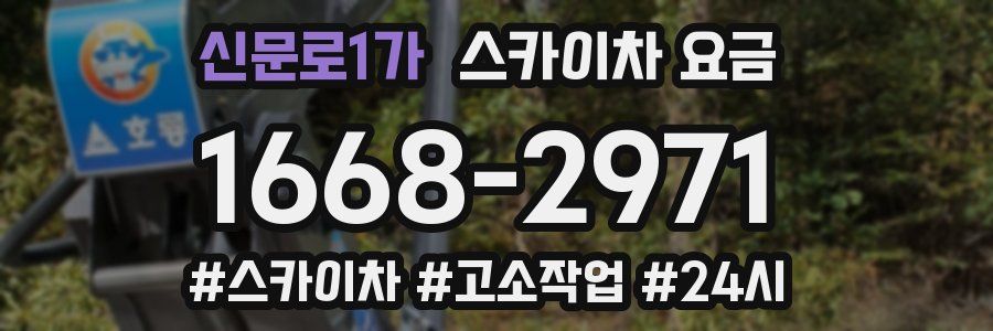 신문로1가 스카이차 요금