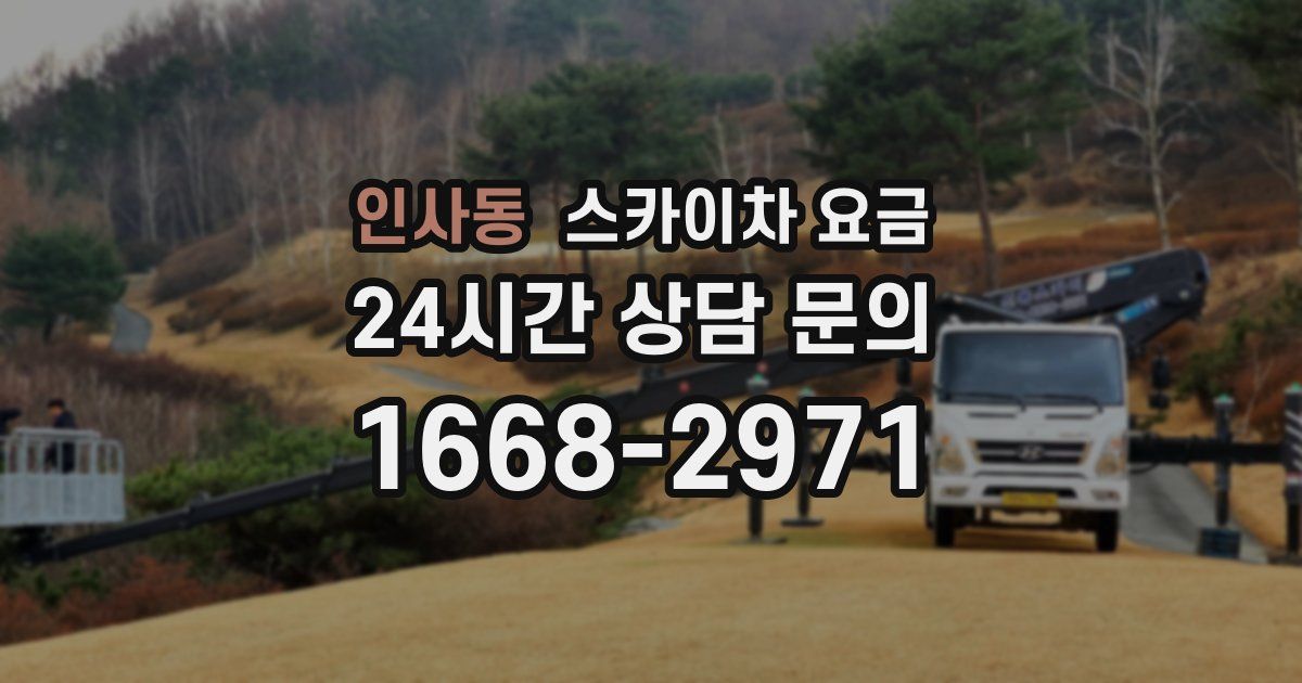 인사동 스카이차 요금