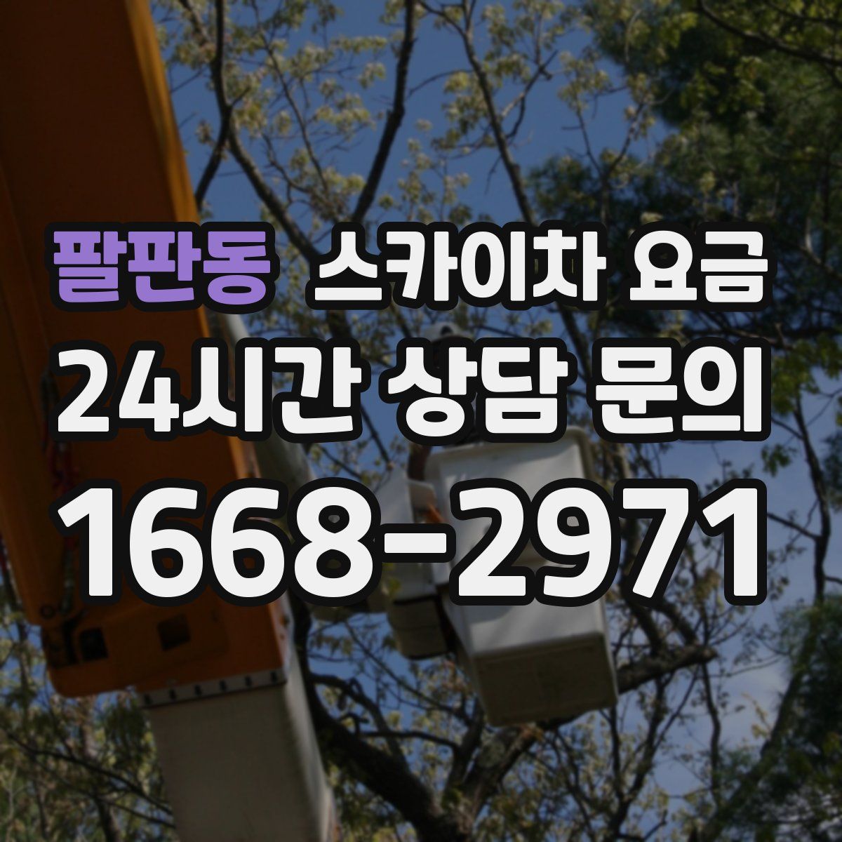 팔판동 스카이차 요금