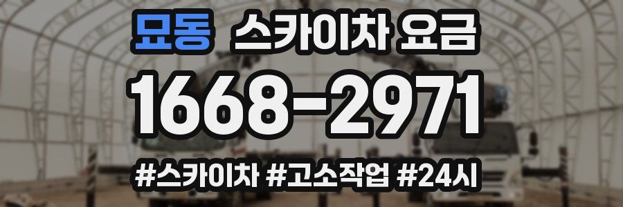 묘동 스카이차 요금
