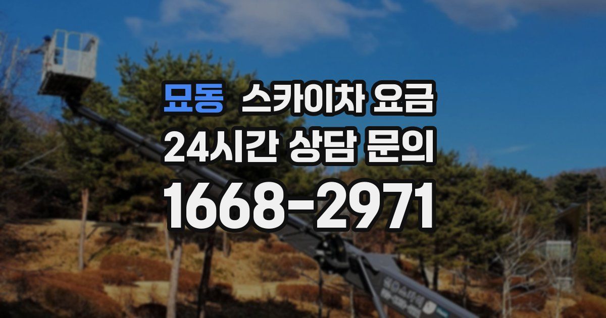 묘동 스카이차 요금