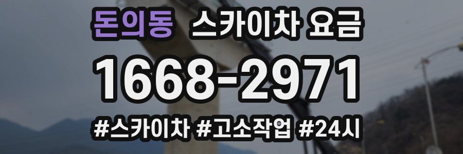 돈의동 스카이차 요금