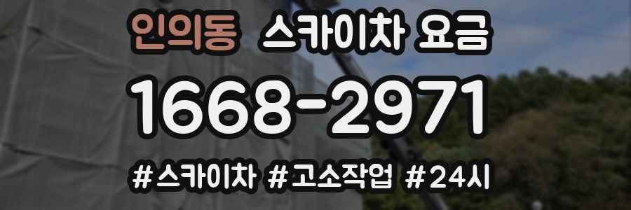 인의동 스카이차 요금