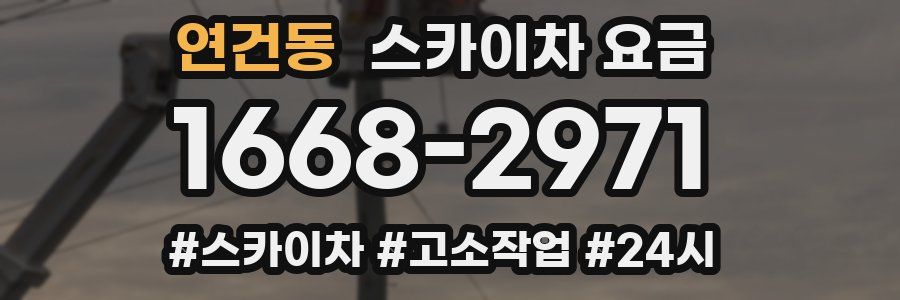 연건동 스카이차 요금