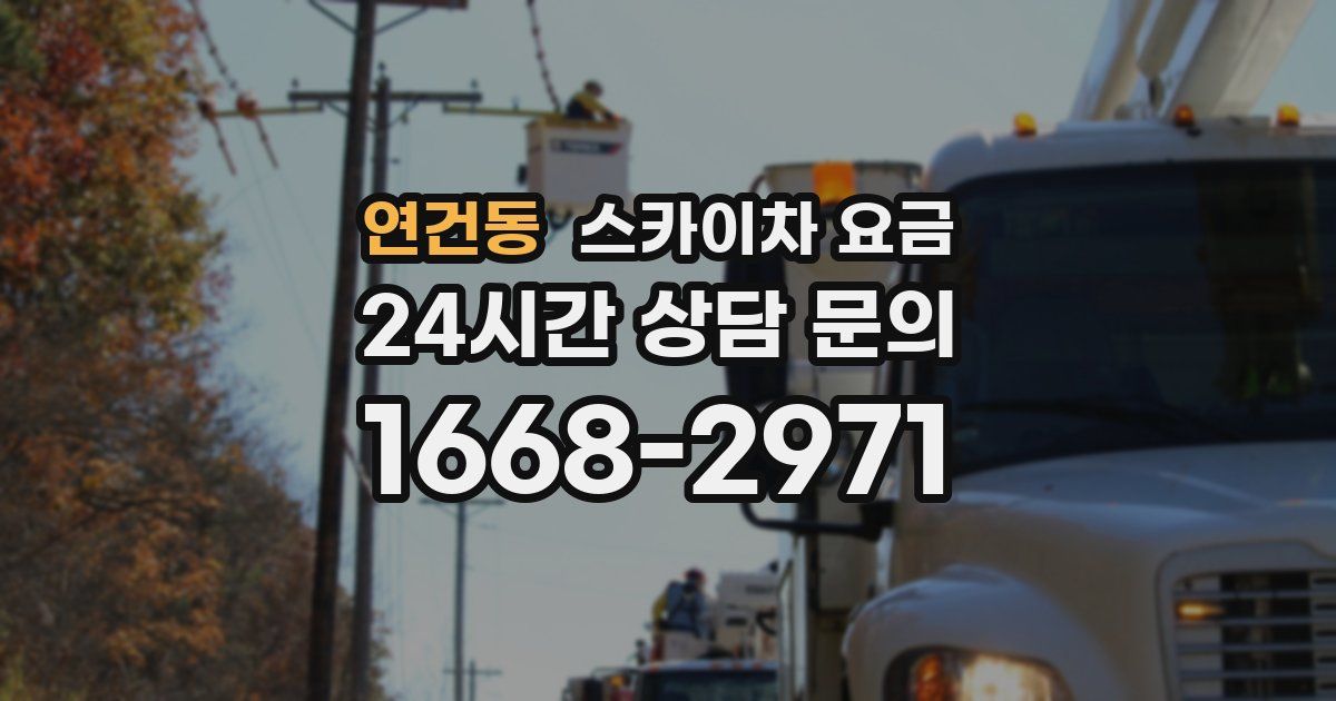 연건동 스카이차 요금