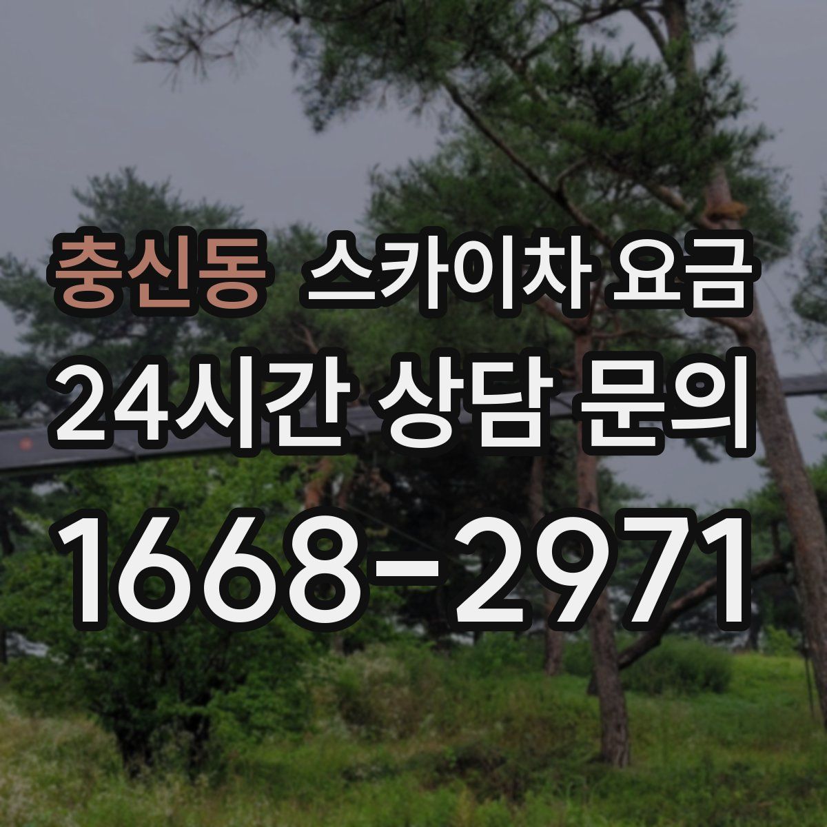 충신동 스카이차 요금
