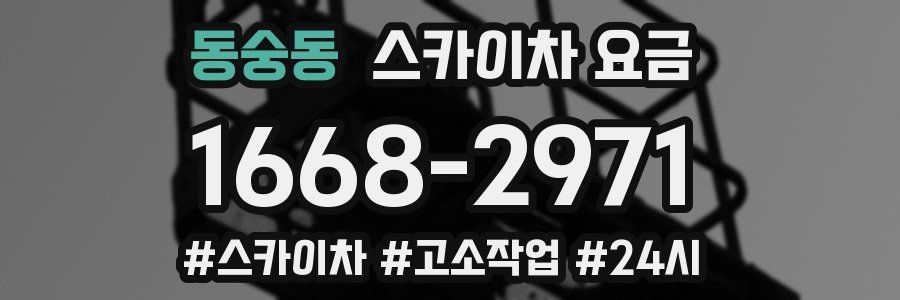 동숭동 스카이차 요금