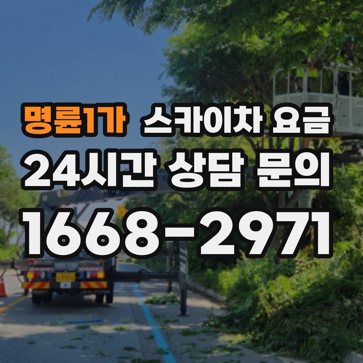 명륜1가 스카이차 요금