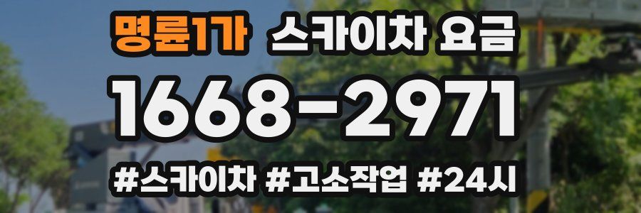 명륜1가 스카이차 요금