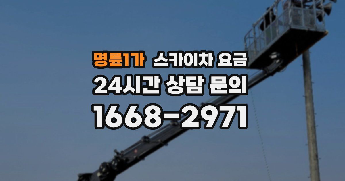 명륜1가 스카이차 요금