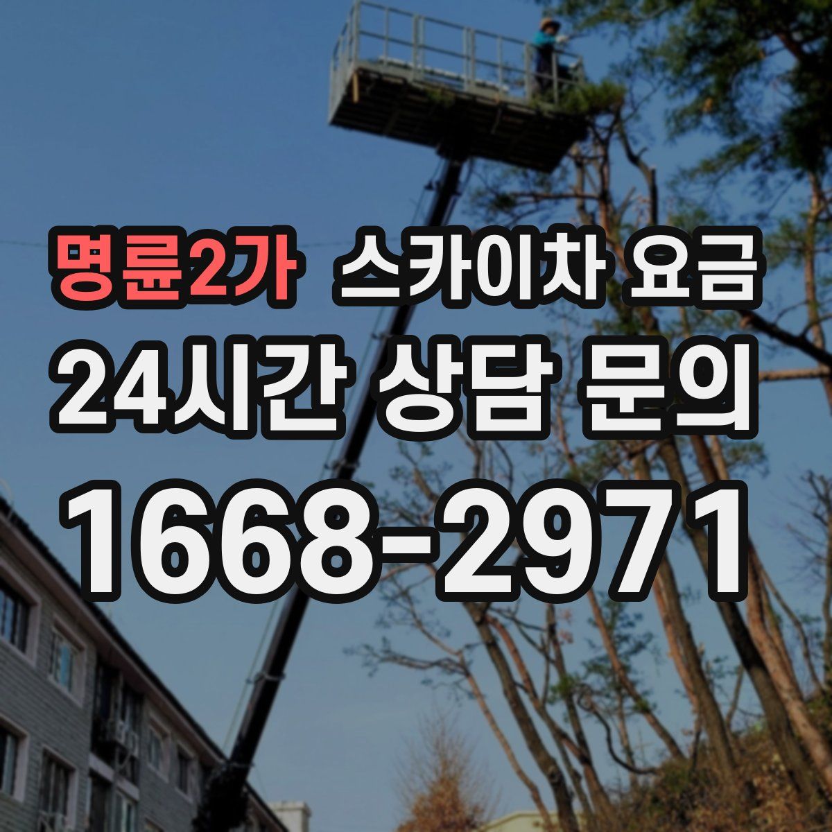 명륜2가 스카이차 요금
