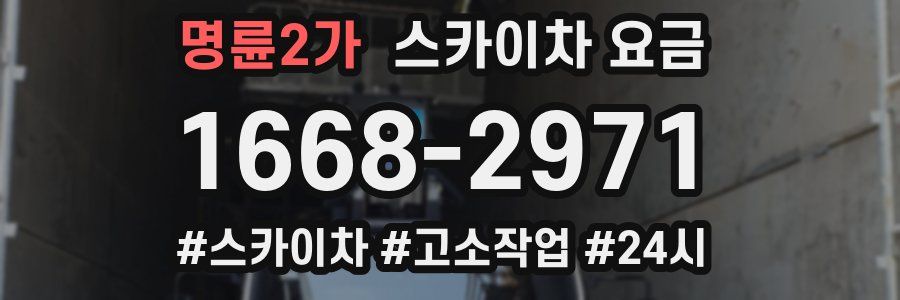 명륜2가 스카이차 요금