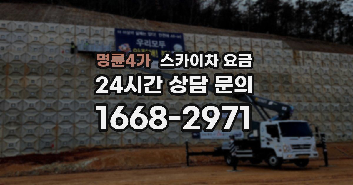 명륜4가 스카이차 요금