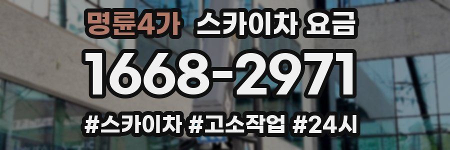 명륜4가 스카이차 요금