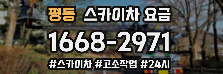 평동 스카이차 요금