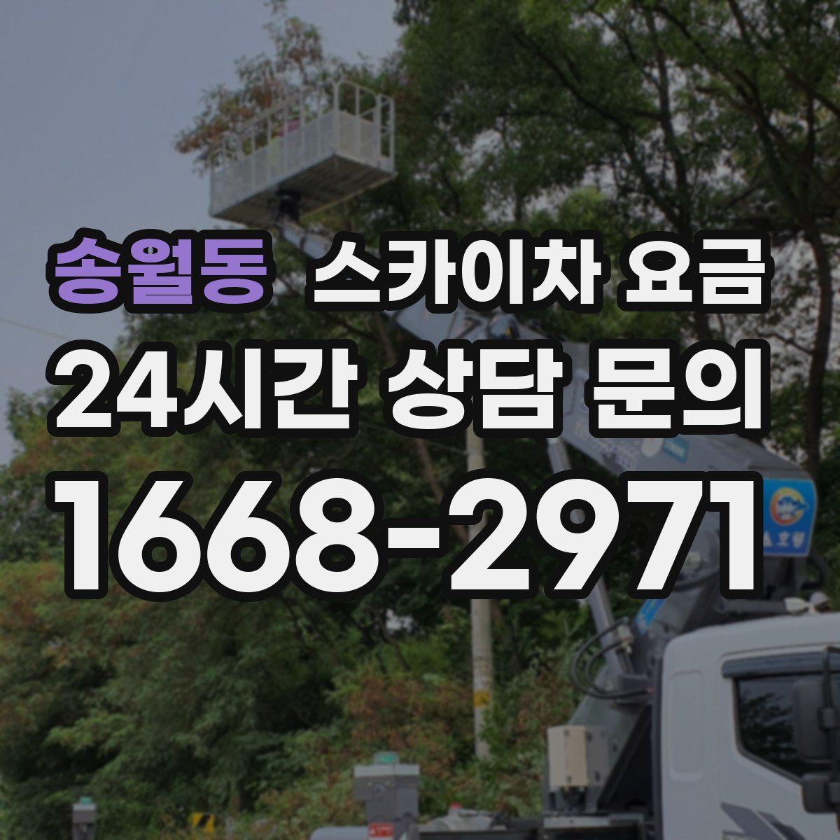 송월동 스카이차 요금