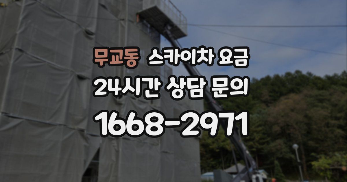 무교동 스카이차 요금
