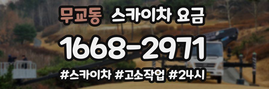 무교동 스카이차 요금