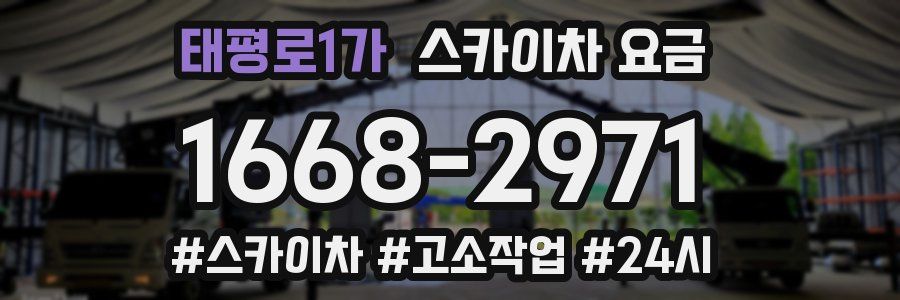 태평로1가 스카이차 요금