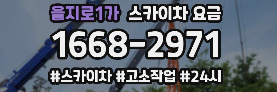 을지로1가 스카이차 요금