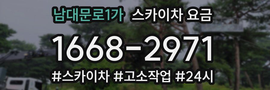 남대문로1가 스카이차 요금