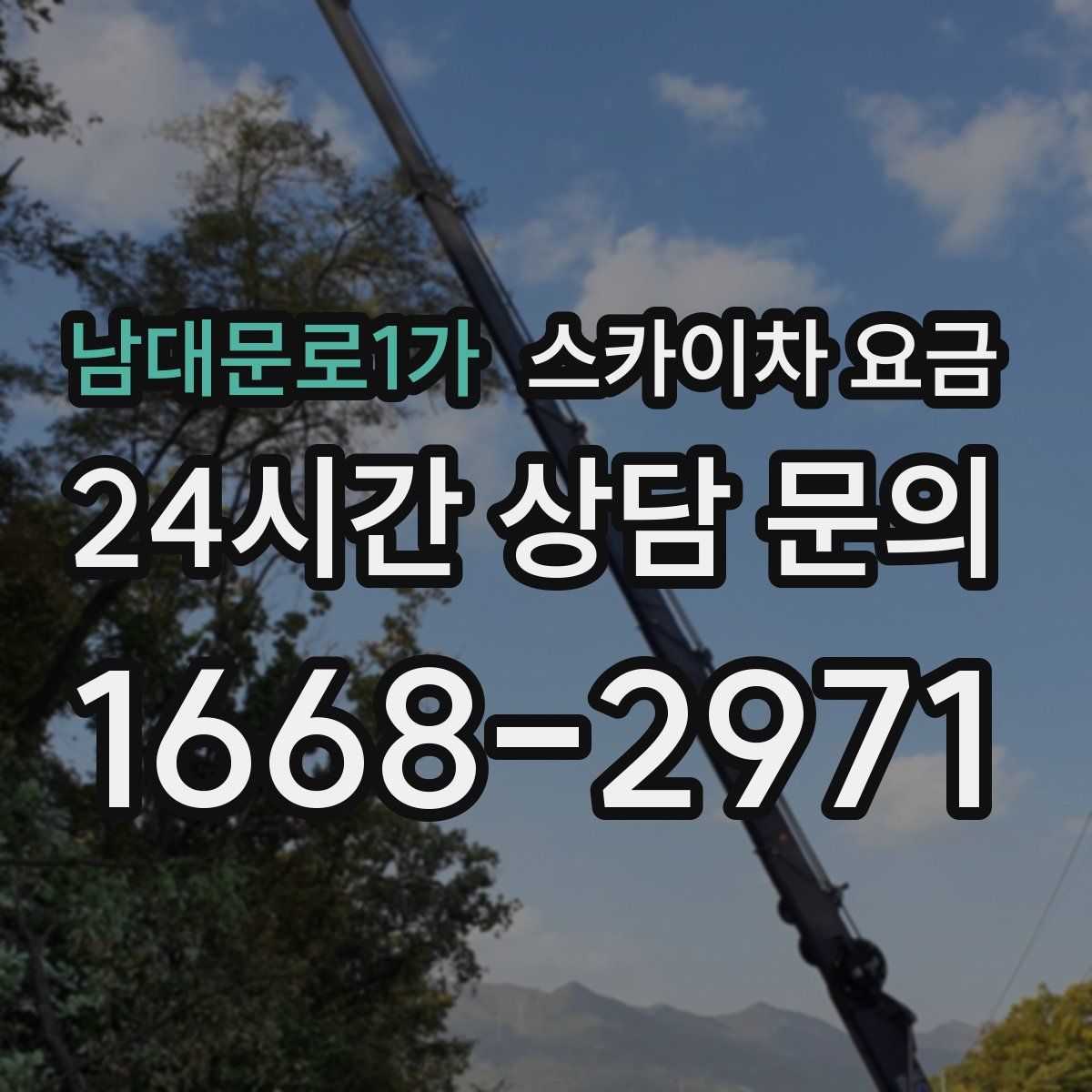 남대문로1가 스카이차 요금