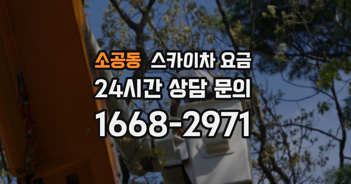 소공동 스카이차 요금