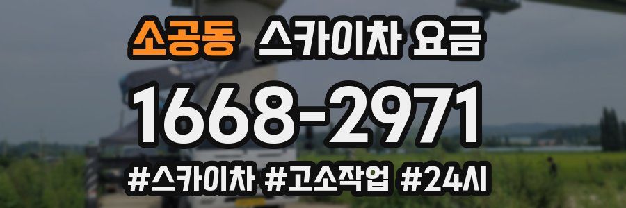 소공동 스카이차 요금