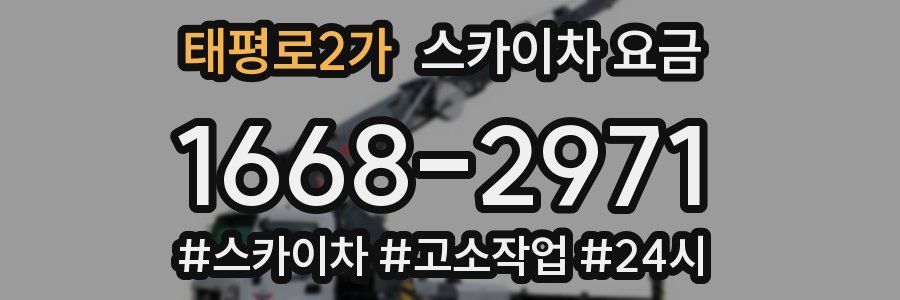태평로2가 스카이차 요금