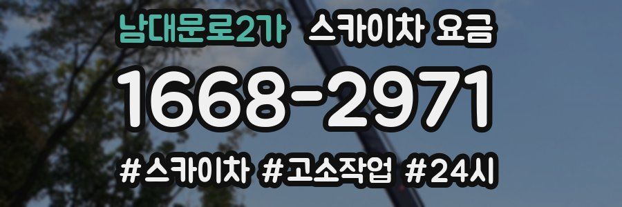 남대문로2가 스카이차 요금