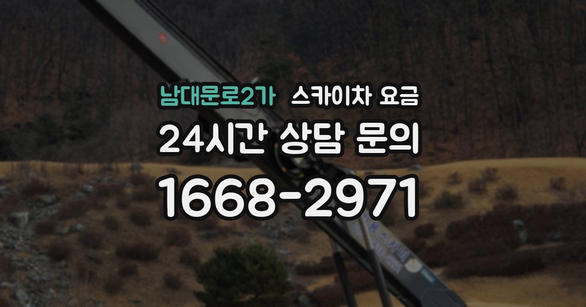 남대문로2가 스카이차 요금