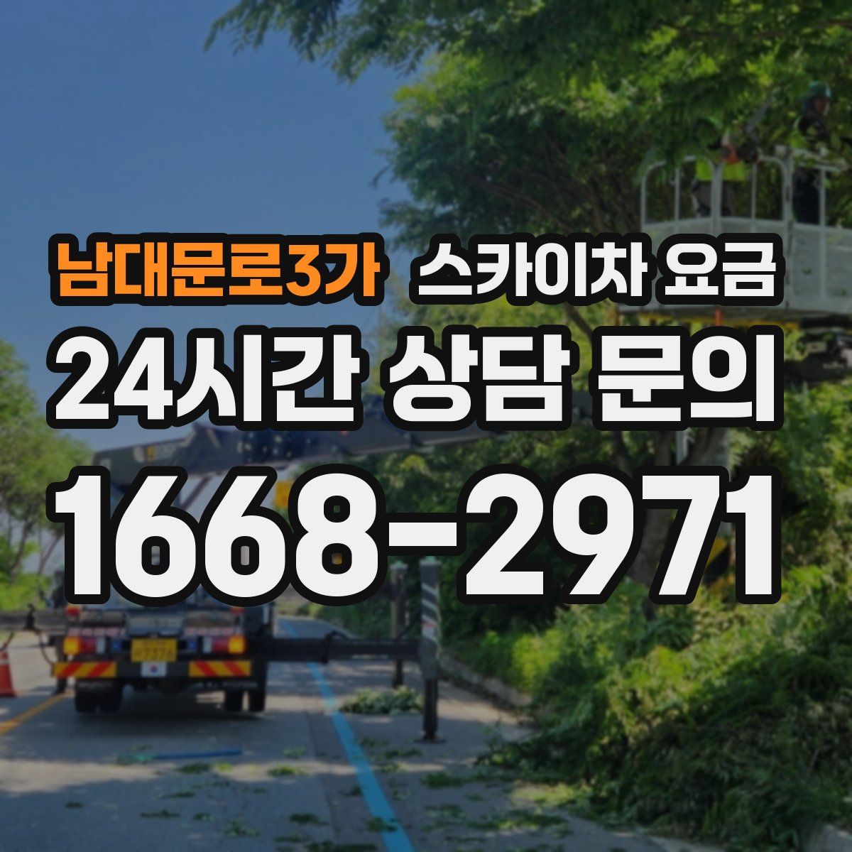 남대문로3가 스카이차 요금