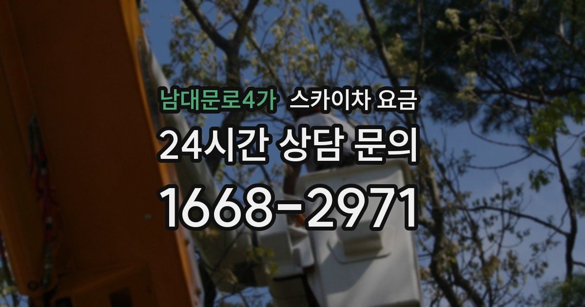 남대문로4가 스카이차 요금