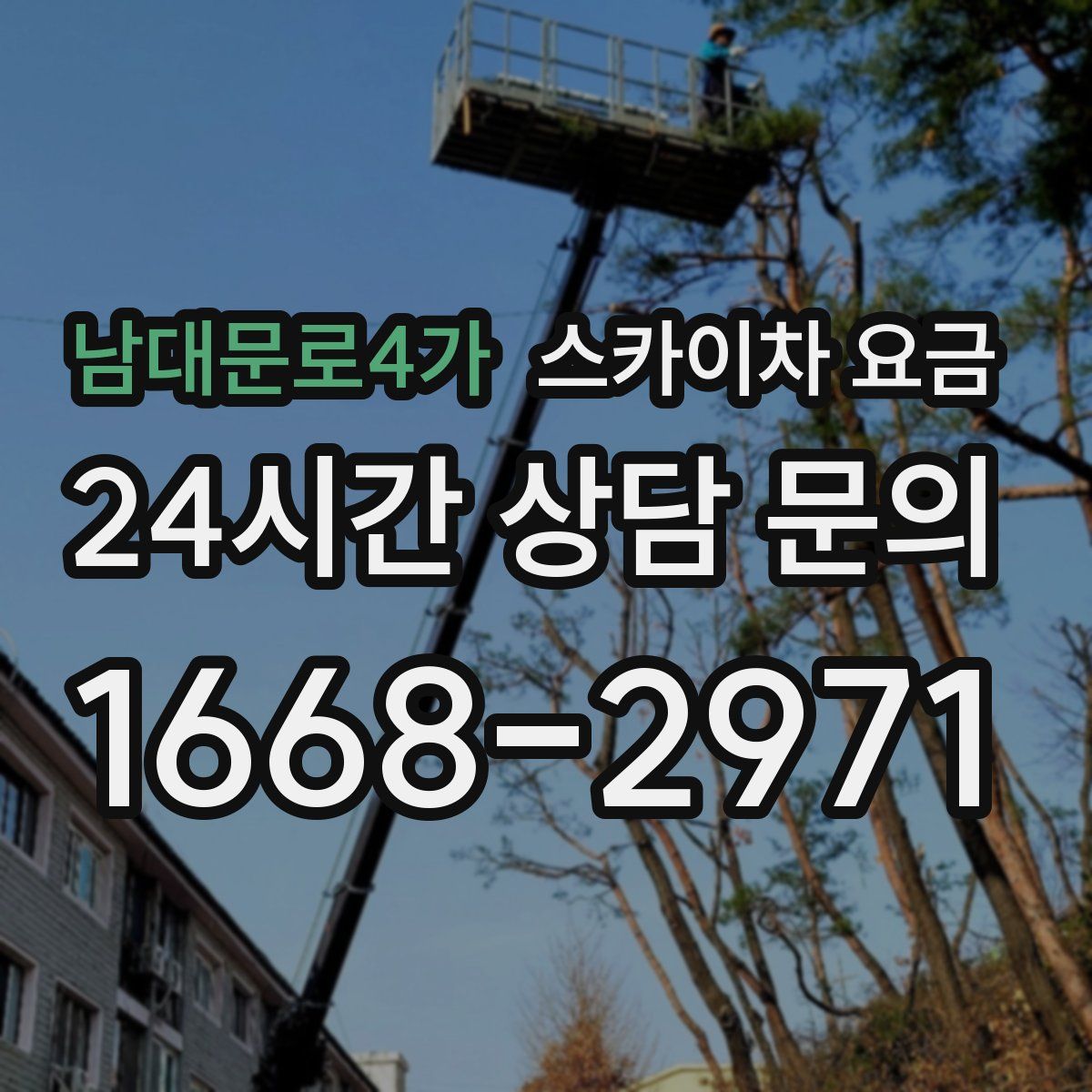 남대문로4가 스카이차 요금