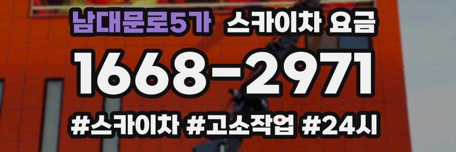 남대문로5가 스카이차 요금
