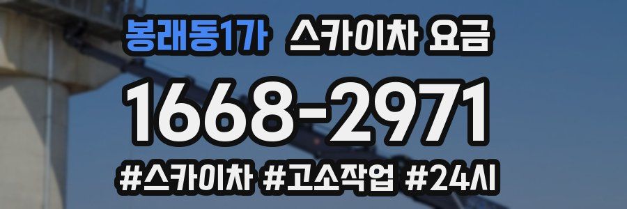 봉래동1가 스카이차 요금
