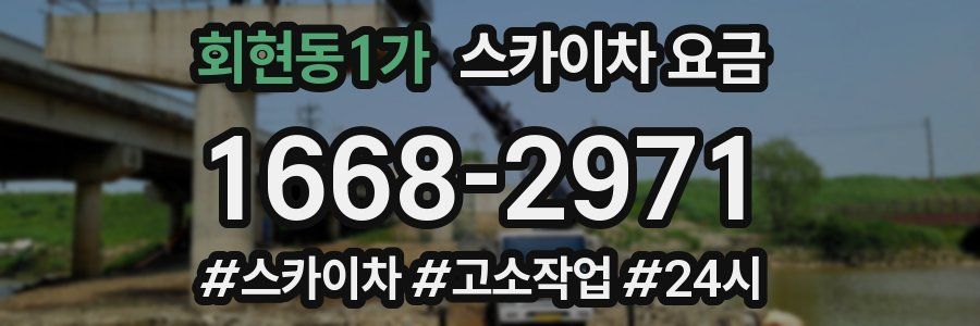회현동1가 스카이차 요금
