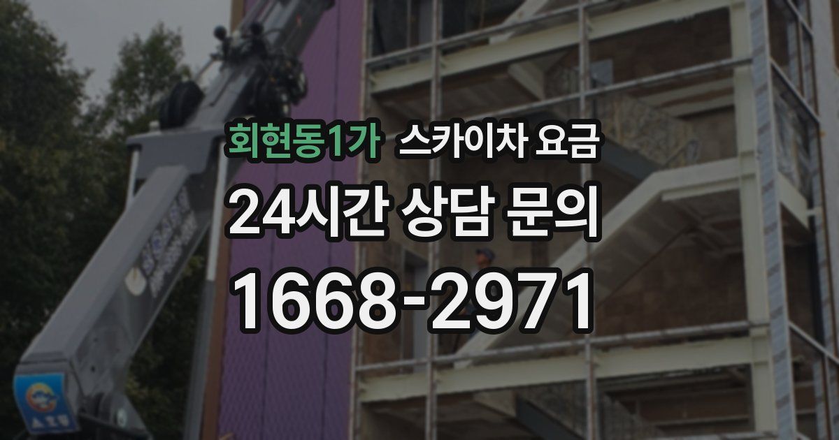 회현동1가 스카이차 요금