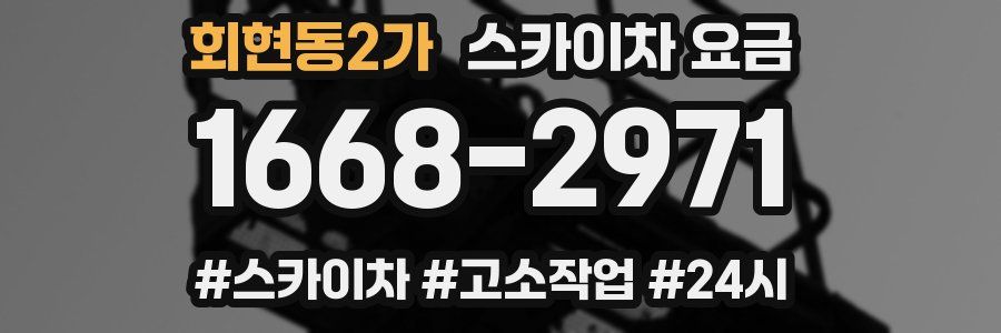 회현동2가 스카이차 요금