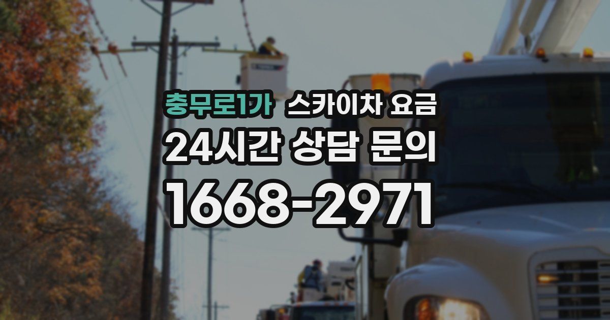 충무로1가 스카이차 요금