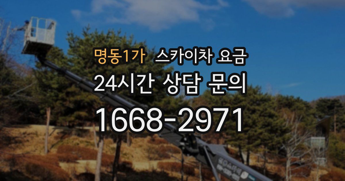 명동1가 스카이차 요금