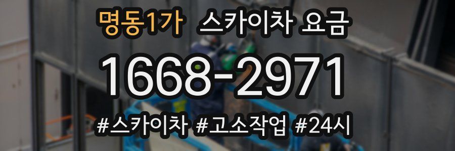 명동1가 스카이차 요금