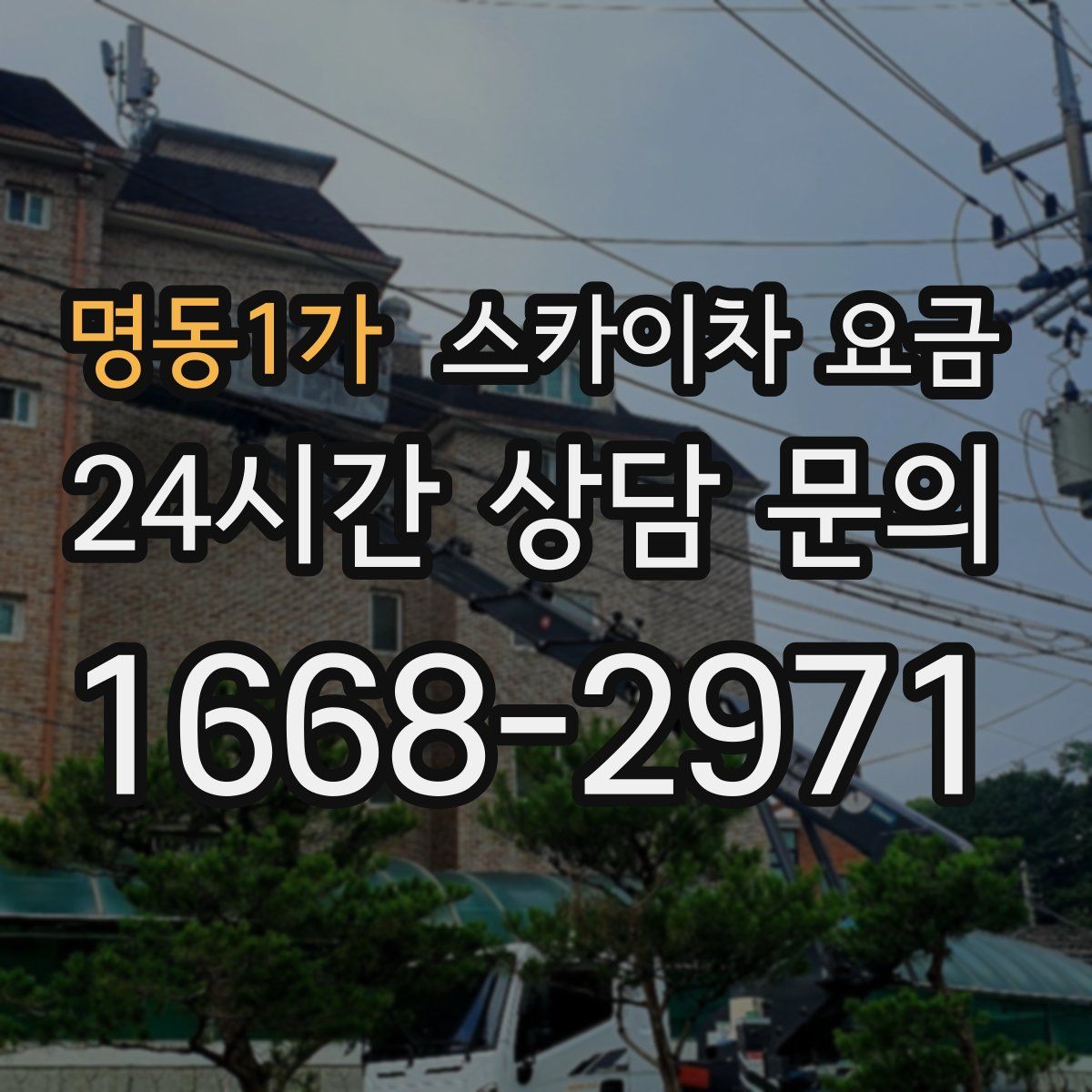 명동1가 스카이차 요금