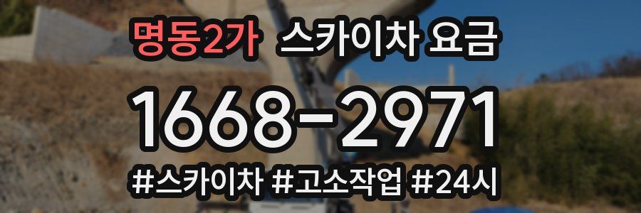 명동2가 스카이차 요금