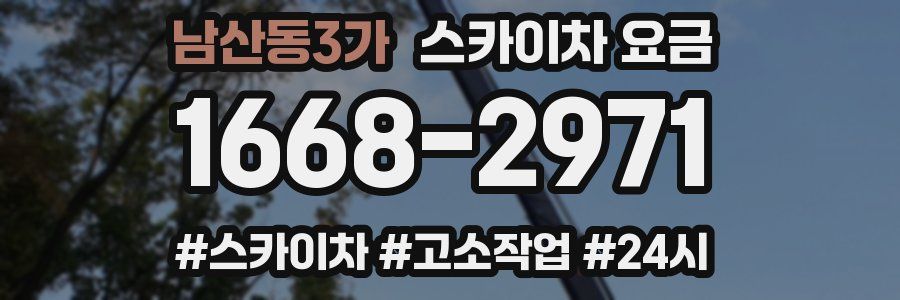 남산동3가 스카이차 요금