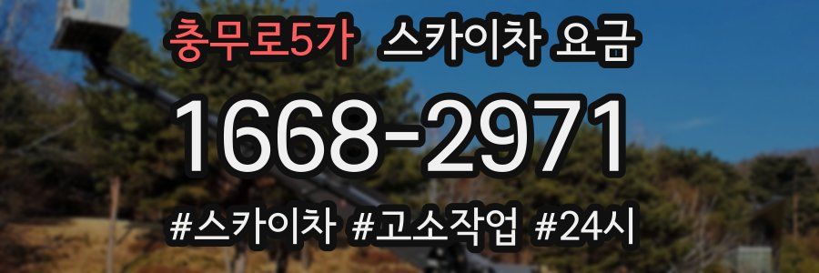 충무로5가 스카이차 요금