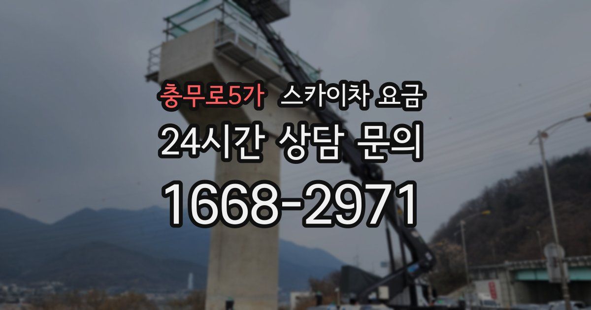충무로5가 스카이차 요금