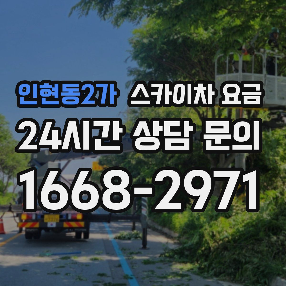 인현동2가 스카이차 요금